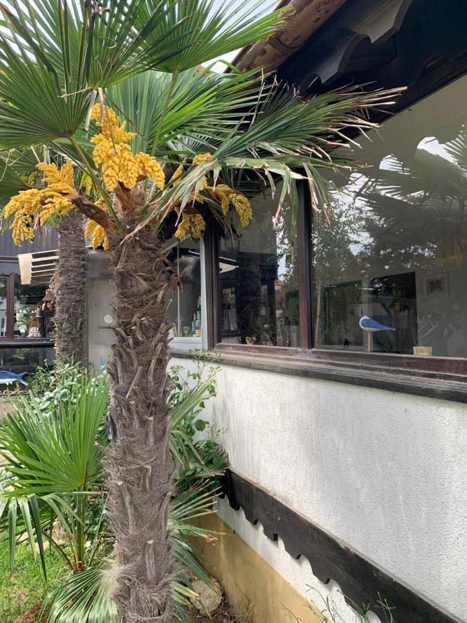 La Doi Pasi De Mare Hotel Vama Veche Exterior photo