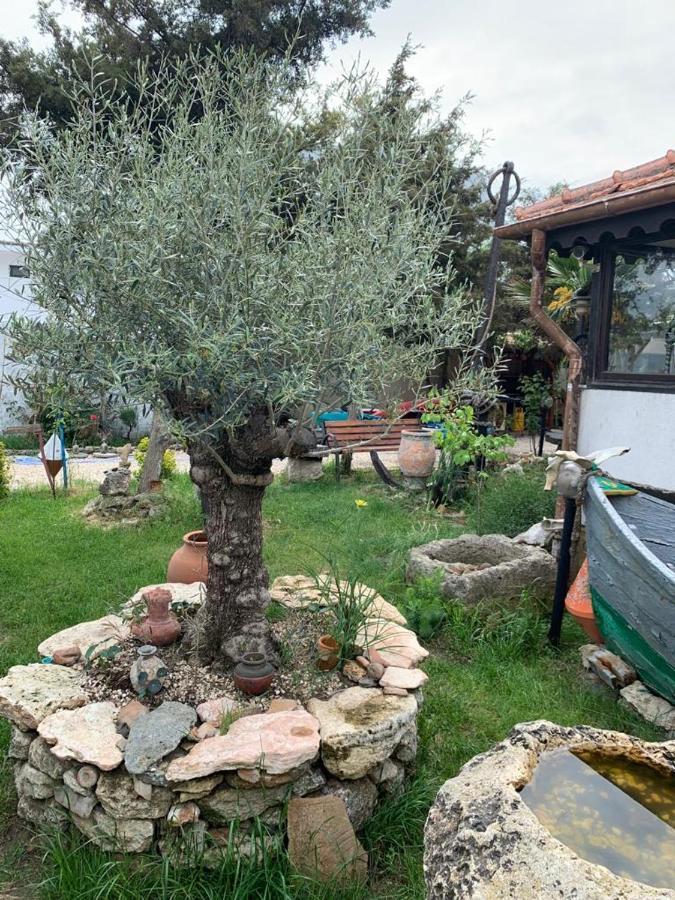 La Doi Pasi De Mare Hotel Vama Veche Exterior photo